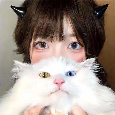 牛群
